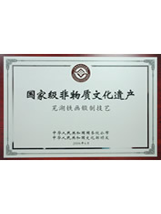 蕪湖鐵畫(huà)鍛制技藝國(guó)家非物質(zhì)文化遺產(chǎn)證書(shū)